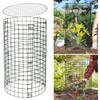 6 Pack Wire Plant Protector with Cover, 23.15" x 12.32"