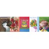 Assorted Birthday Greeting Cards 30 Pack