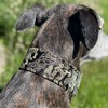Extra Soft Martingale Dog Collar for Greyhound Saluki Whippet and