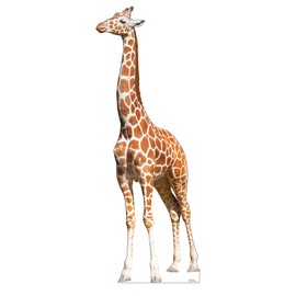Cardboard People Giraffe Life Size Cardboard Cutout Standup