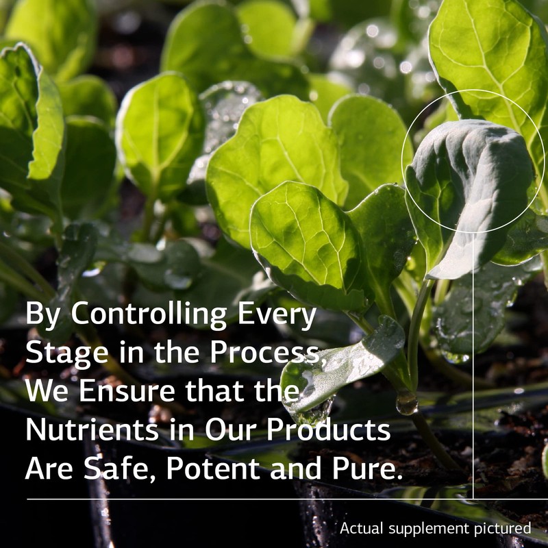 Standard Process Zinc Test - Zinc Standard Process Supplements -