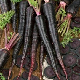 Black Nebula Carrot seed 1 OZ ~20,000 Seeds - Non-GMO Vegetable Gardening Seeds - Open Pollinated