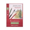FABRIANO Accademia AC05 Drawing 200g 30sheets for Oil Pastel (A4)