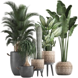 Condessacity Wall Stickers, Plants, Greenery, Potted Plants, Greenery, Scenery, Removable Wallpaper, Stylish, Scandinavia, Tropical Wallpaper, Bedroom, Living Room, Large, Wall Stickers, Plant Wall