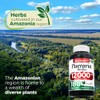Fito Medic Lab Pueraria Mirifica 180 Cápsulas 12000 Suplemento Mujer