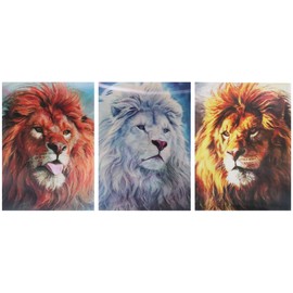Lions - Triple Views - 3D Lenticular Poster - 12x16 Animated Print - 3 Prints in 1
