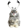 Basuo-9Q Realistic Jackalope Furry Wild Animal Replica Figurine Easter Bunny