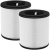 XBWW 2 Packs D10 Replacement Filter Compatible with Tailulu D10