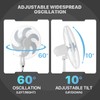 mollie Oscillating Pedestal Fan with Remote Control 12H Timer Portable