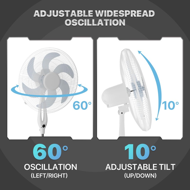 mollie Oscillating Pedestal Fan with Remote Control 12H Timer Portable