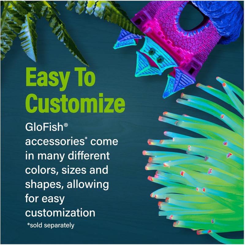 GloFish Betta Trilogy Aquarium, 3 Gallons, Includes LED Lights and