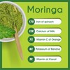 bixa BOTANICAL bixa BOTANICAL Moringa Powder (Organic Moringa Oleifera -