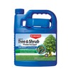 BioAdvanced 12 Month Tree and Shrub Protect and Feed, Concentrate,