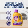 ARM & HAMMER Plus OxiClean Odor Blasters Fresh Botanical, 77