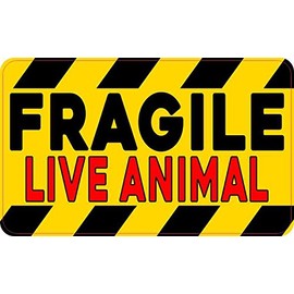 StickerTalk Fragile Live Animal Vinyl Sticker, 5 inches by 3 inches