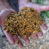 Power Munch | Deer Feed Supplement With Probiotics for Maximum