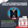 RENARAMAX Dietary Phosphate Binder and Renal Support Supplement for Cats