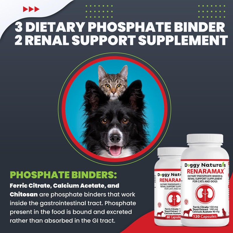 RENARAMAX Dietary Phosphate Binder and Renal Support Supplement for Cats