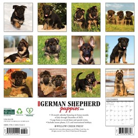 German Shepherd Puppies 2026 12" x 12" Wall Calendar