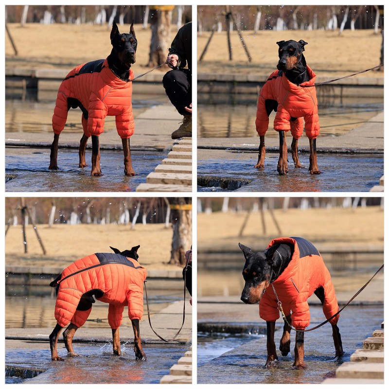 Dog Coat Dog Warm Jacket, 4 Legs Covered Waterproof Windproof
