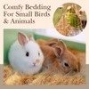 Coconut Fiber Bedding for Birds, Loose Coconut Fiber Bird Nest