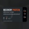 THE PROTEIN WORKS Protine Rcupration Musculaire - Recovery Protein -