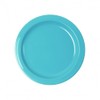 WACA 1947 Plastic Plate Diameter 241 mm Colour: Light Blue