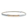 Rojeam Women's Thin Belt for Dress Retro Metal Decorative Belt,
