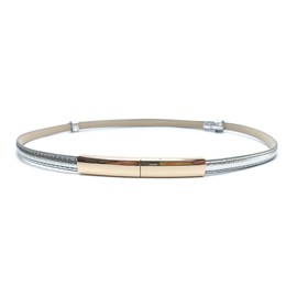 Rojeam Women's Thin Belt for Dress Retro Metal Decorative Belt, silver