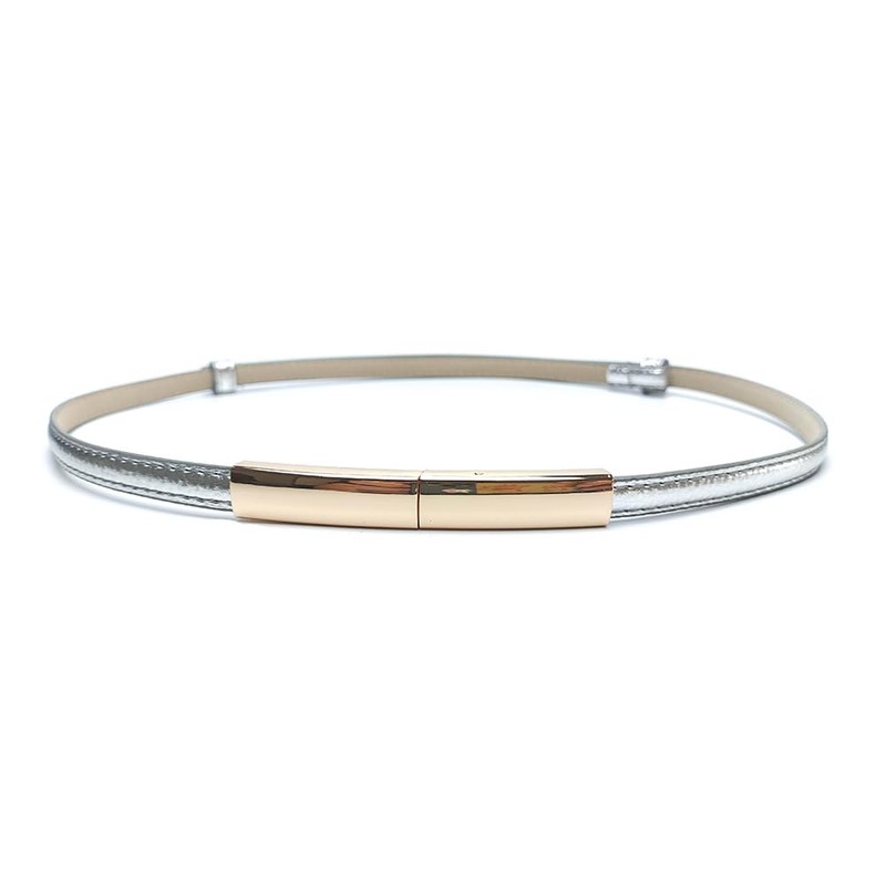 Rojeam Women's Thin Belt for Dress Retro Metal Decorative Belt,