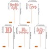 ZHUOWEISM 15 PCS Happy 10th Birthday Centerpiece Sticks Ten Hello
