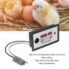 Intelligent Incubator Thermostat Automatic Egg Incubator Controller Thermostat for Eggs