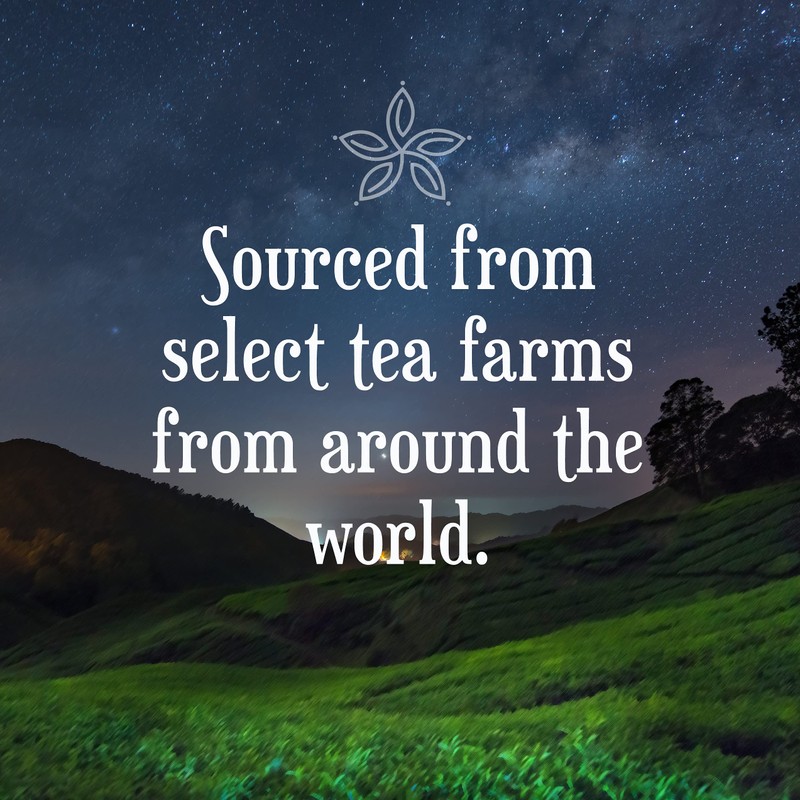 Constellation Tea Lemon Hibiscus Tea Pods Compatible with K Cup