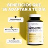 Homodeus Cúrcuma + Berberina, Cápsulas Vegetales con Cúrcuma Longa y