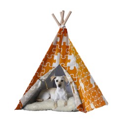 zoovilla Orange Puzzle Medium Pet Teepee