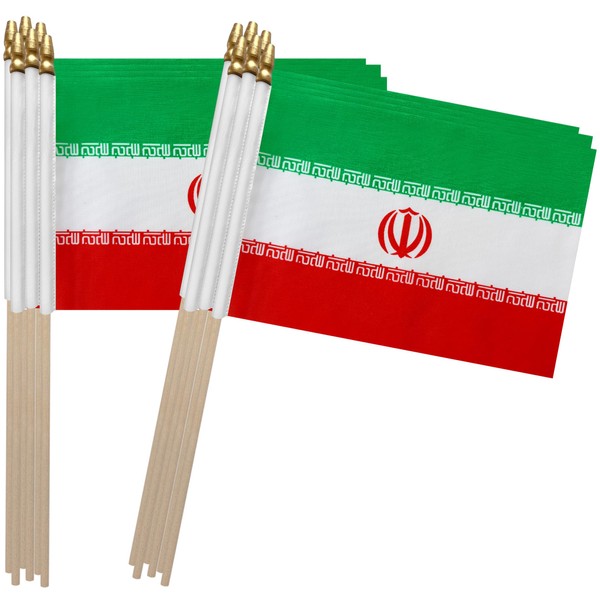 TSMD Iran Stick Flag Iranians Small Mini Hand Held Flags,5x8