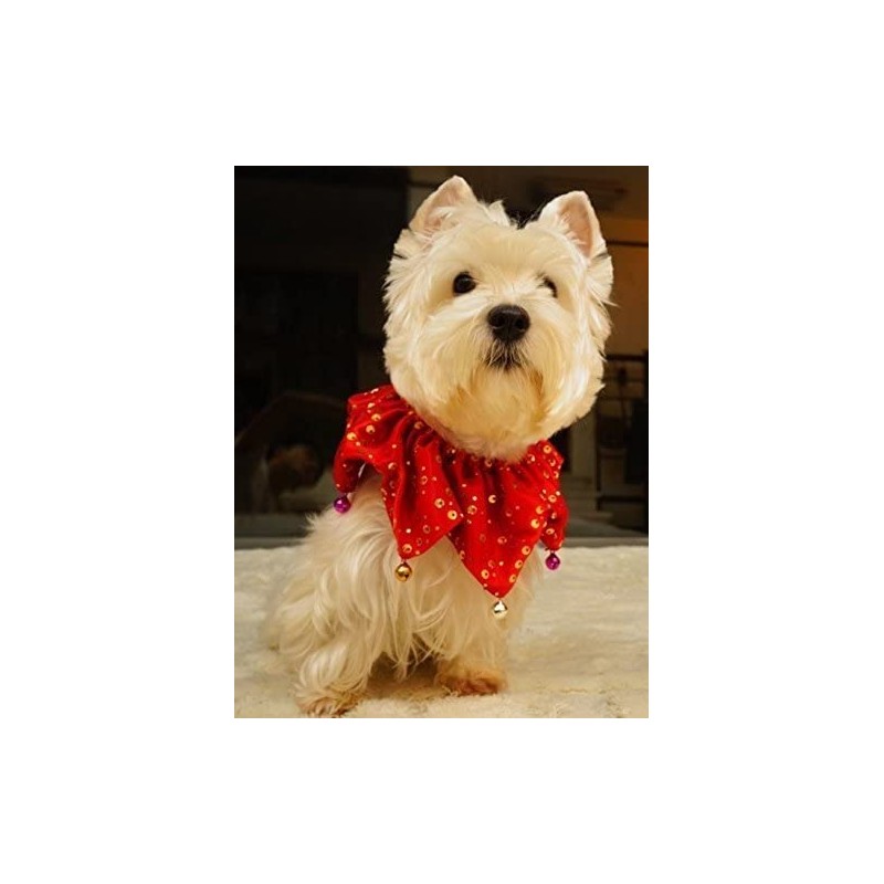 Lanyar Bling Pet Holiday Accessories Cat Dog Christmas Collar with