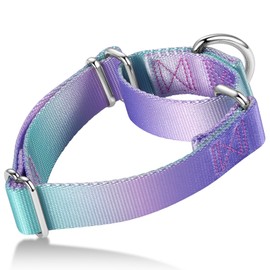Axdvk Martingale Dog Collar Colorful Gradient Fashionable - Anti-Escape Soft Durable Pets Collar for Walking Training Outdoor Daily Use -1 inch Wide XSmall, Purple Green