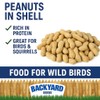 CountryMax Backyard Seeds in-Shell Raw Unprocessed Peanuts 5lbs - Premium