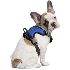 Little Earth 320172-BILL-XS: Buffalo Bills Front Clip Pet Harness