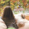 Winfred Window Bird Feeder with 3 Extra Strong Suction Cups