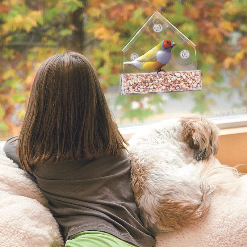 Winfred Window Bird Feeder with 3 Extra Strong Suction Cups