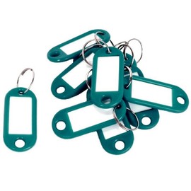 D.RECT Key Tags 10 Pcs - Plastic Keyring Tags with Loops - Key Ring with Window for Luggage, Pet Name and Office Key Labels, Green