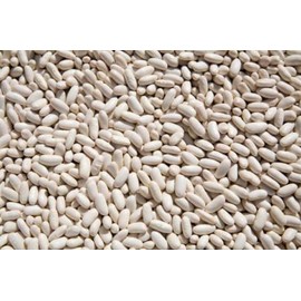 OliveNation Organic White Cannellini Beans, Dry White Kidney Beans, Non-GMO, Gluten Free, Vegan - 2 pounds