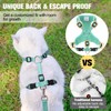 BEAUTYZOO Cat Harness and Leash Set for Walking Escape Proof,