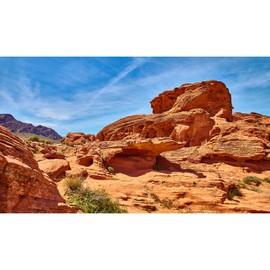 Reptile Terrarium Background Rock Blue Sky Terrarium Background Reptile Tank Background Desert Rocky Bush Thorns Wilderness Reptile Habitat Background Bearded Dragon Tank Aquarium Background 36x18in