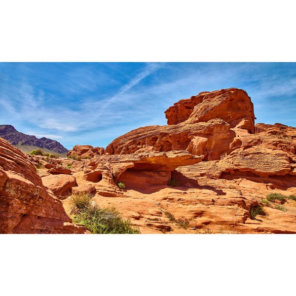 Reptile Terrarium Background Rock Blue Sky Terrarium Background Reptile Tank