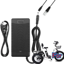 RXQMXG AC Adapter For EMOJO Caddy /Caddy Pro  Electric Tricycle Trike