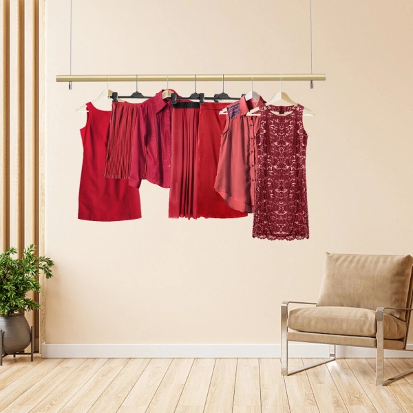 Unbranded Ceiling Mounted Garment Hanger Closet Organizer Hanging Rod Clothes