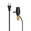 Aspen Creative 21019, Make-A-Wine Bottle Lamp Kit in Black, 1